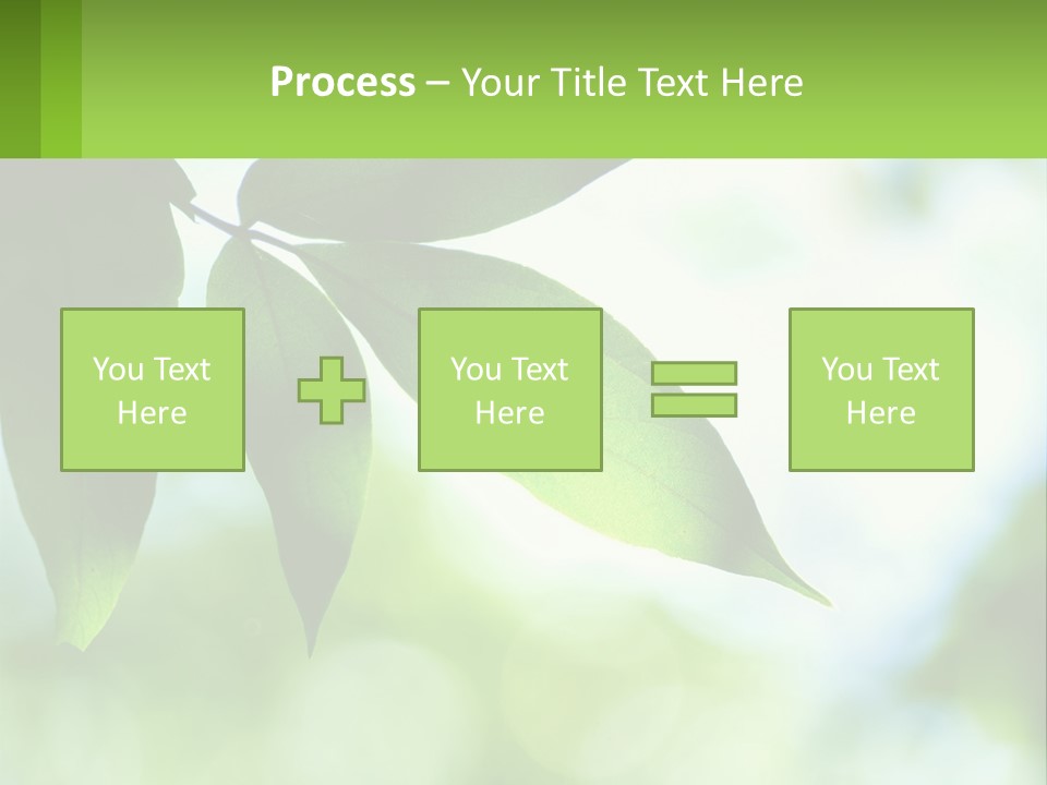 A Green Leaf On A Tree With The Sky In The Background PowerPoint Template