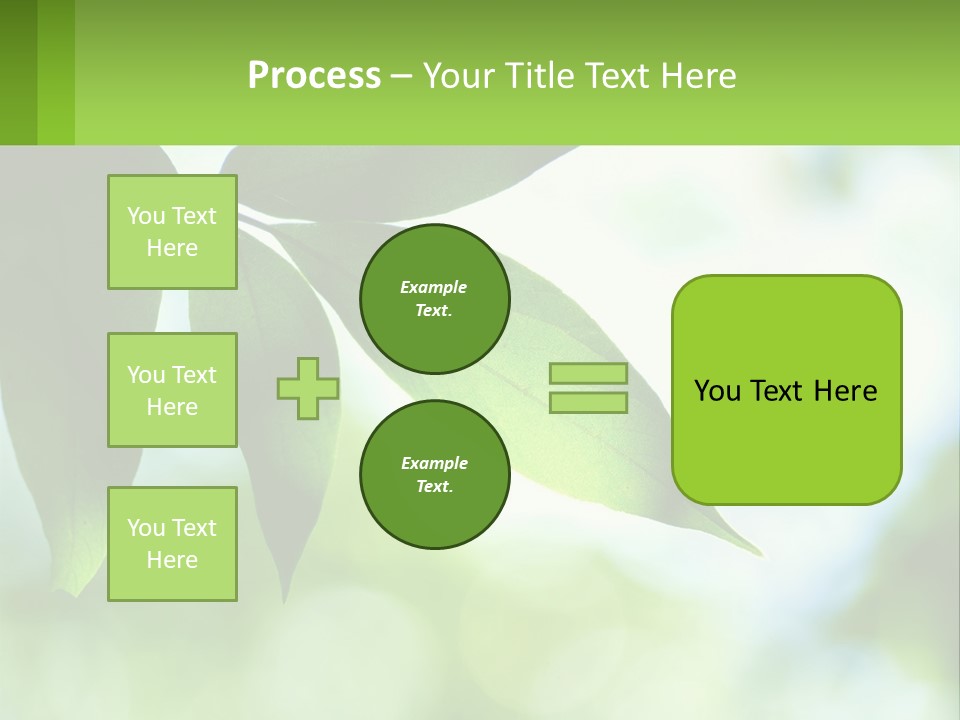 A Green Leaf On A Tree With The Sky In The Background PowerPoint Template