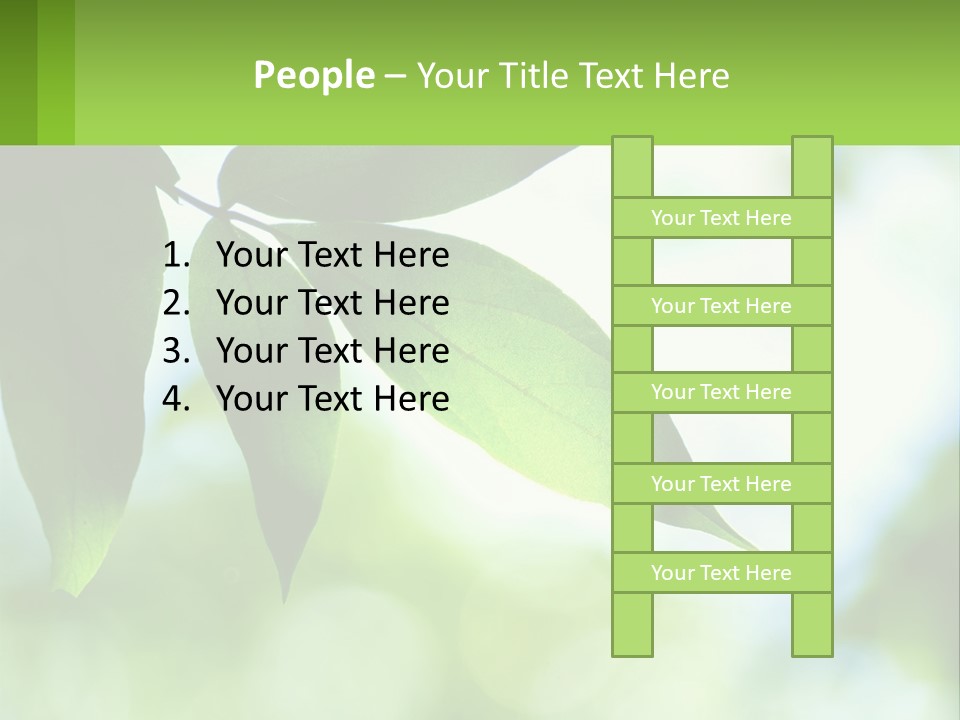 A Green Leaf On A Tree With The Sky In The Background PowerPoint Template