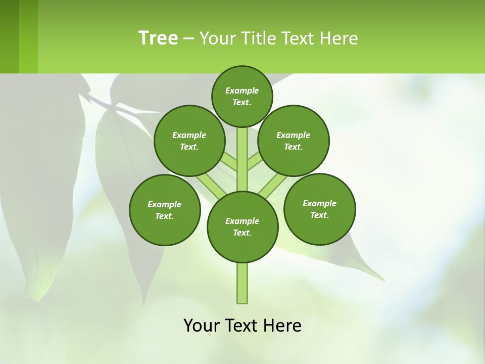 A Green Leaf On A Tree With The Sky In The Background PowerPoint Template