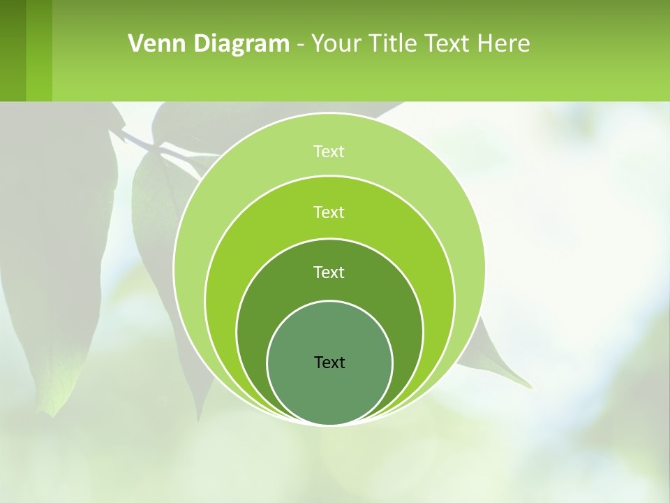 A Green Leaf On A Tree With The Sky In The Background PowerPoint Template