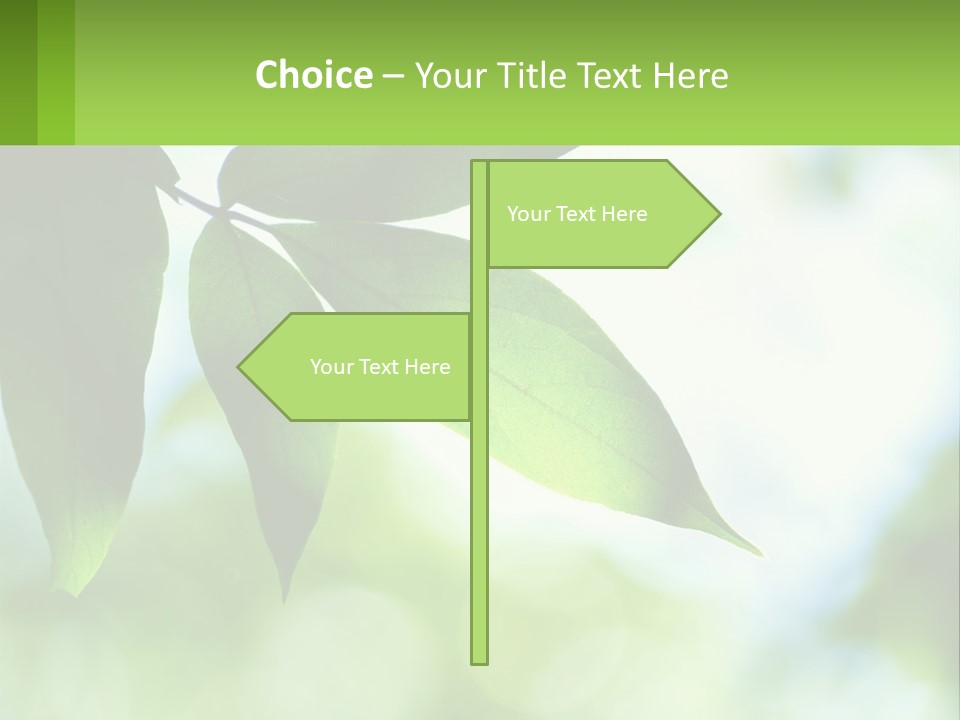 A Green Leaf On A Tree With The Sky In The Background PowerPoint Template