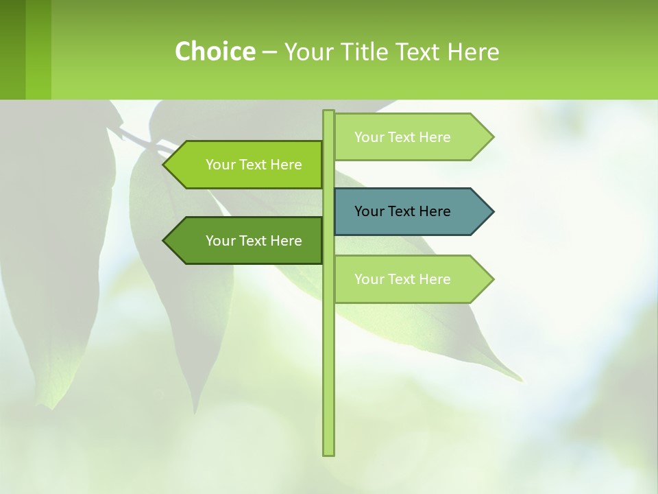 A Green Leaf On A Tree With The Sky In The Background PowerPoint Template