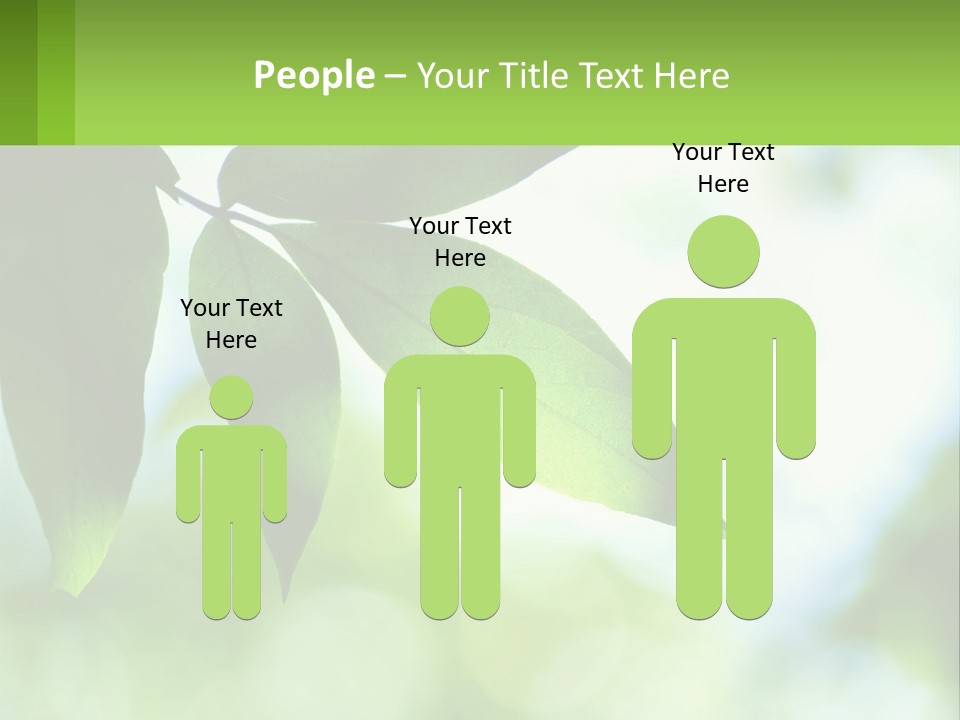 A Green Leaf On A Tree With The Sky In The Background PowerPoint Template