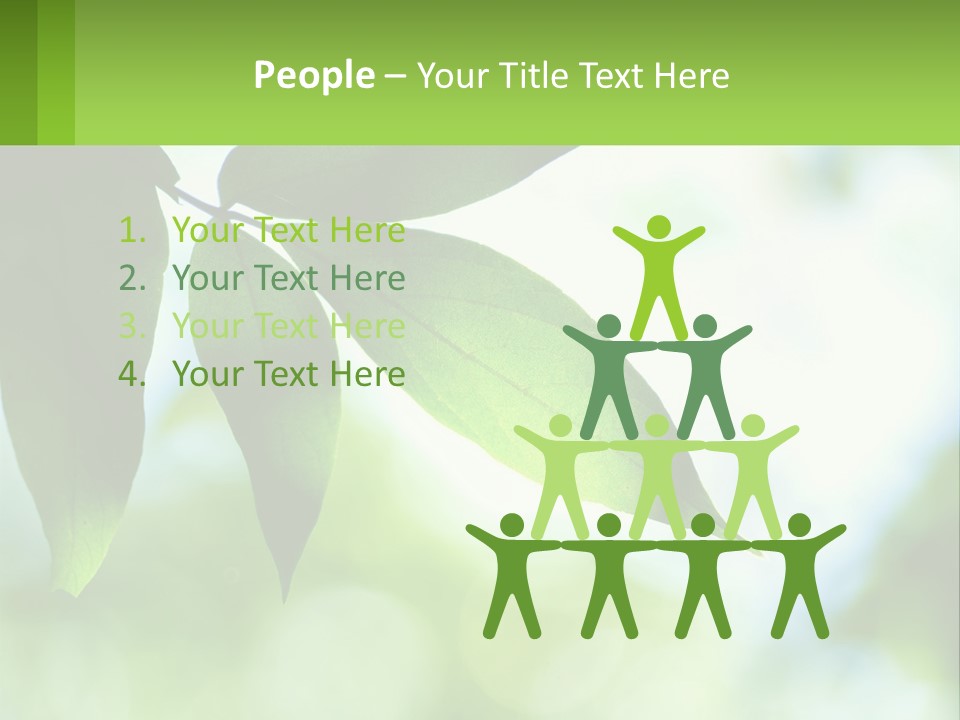 A Green Leaf On A Tree With The Sky In The Background PowerPoint Template