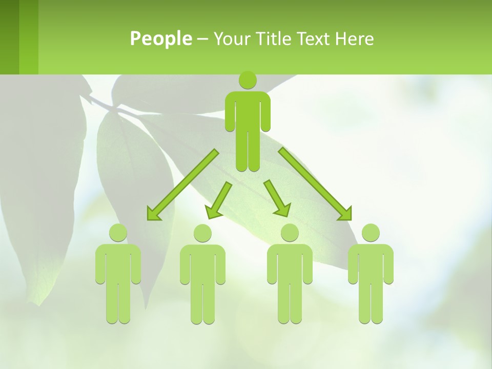 A Green Leaf On A Tree With The Sky In The Background PowerPoint Template