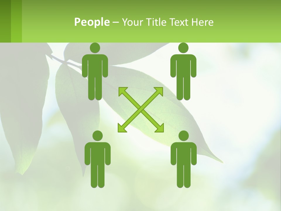 A Green Leaf On A Tree With The Sky In The Background PowerPoint Template