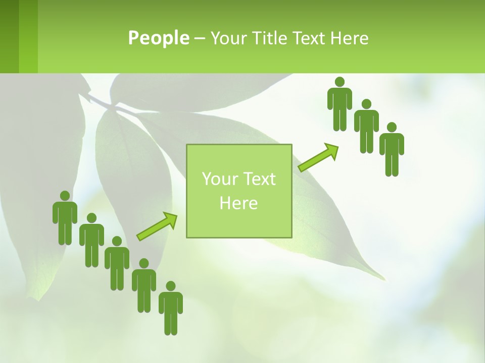 A Green Leaf On A Tree With The Sky In The Background PowerPoint Template