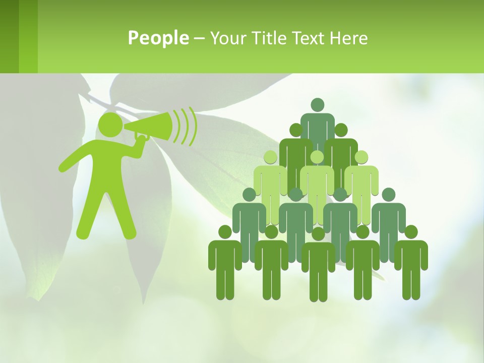 A Green Leaf On A Tree With The Sky In The Background PowerPoint Template