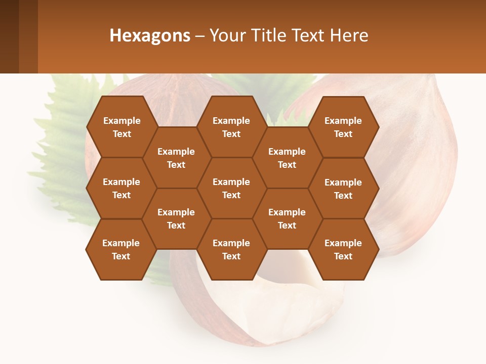 A Group Of Nuts With Leaves On A White Background PowerPoint Template