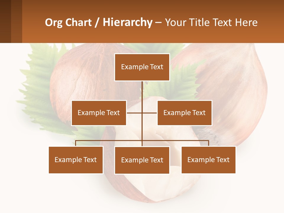 A Group Of Nuts With Leaves On A White Background PowerPoint Template