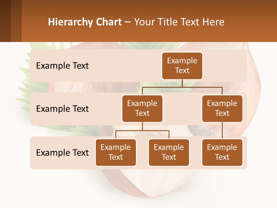 A Group Of Nuts With Leaves On A White Background PowerPoint Template