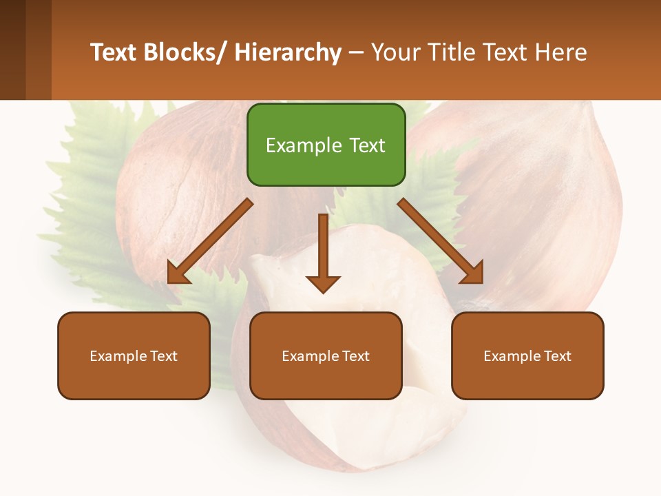 A Group Of Nuts With Leaves On A White Background PowerPoint Template