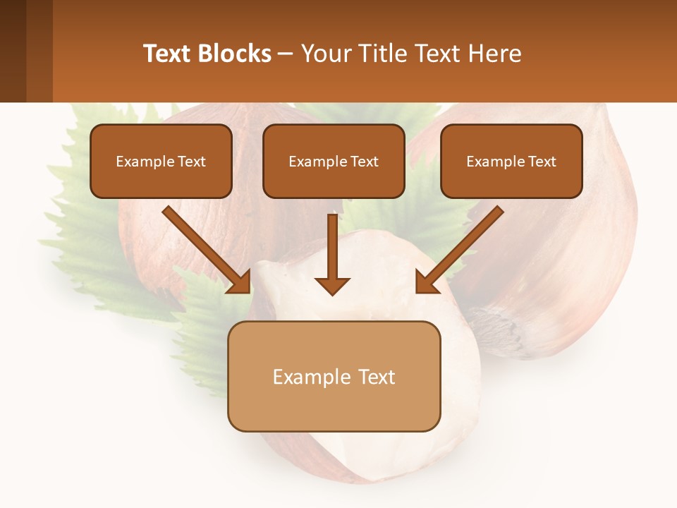 A Group Of Nuts With Leaves On A White Background PowerPoint Template