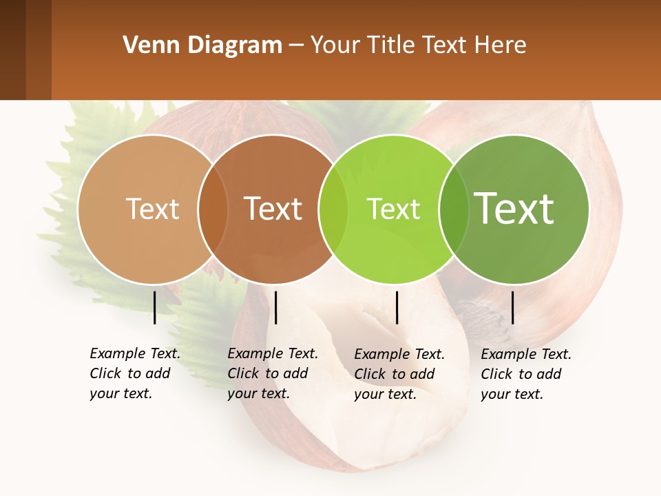 A Group Of Nuts With Leaves On A White Background PowerPoint Template