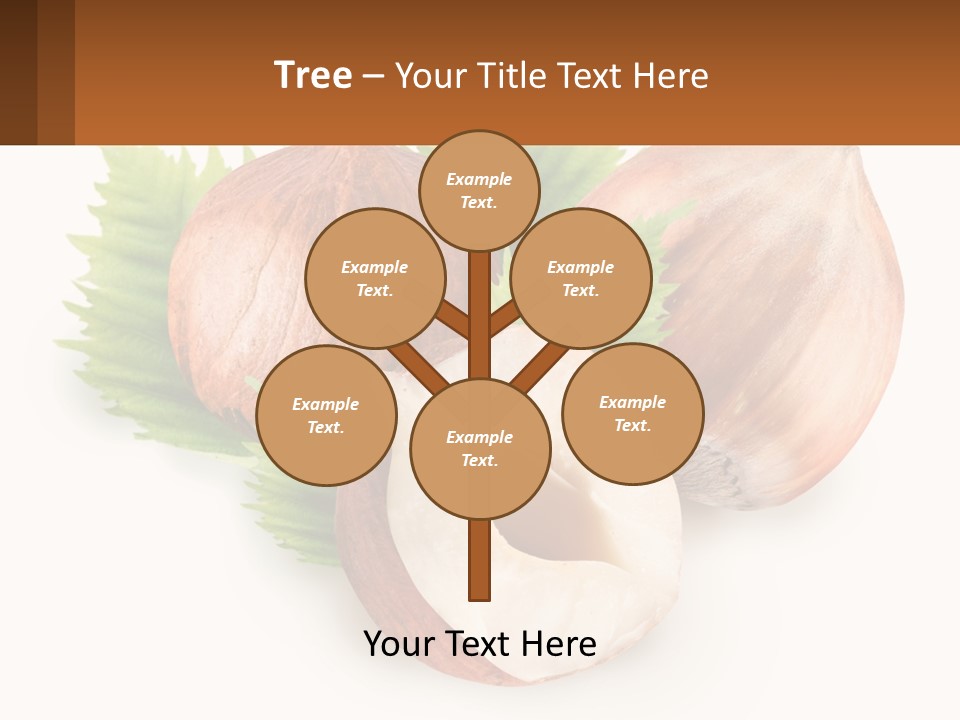 A Group Of Nuts With Leaves On A White Background PowerPoint Template