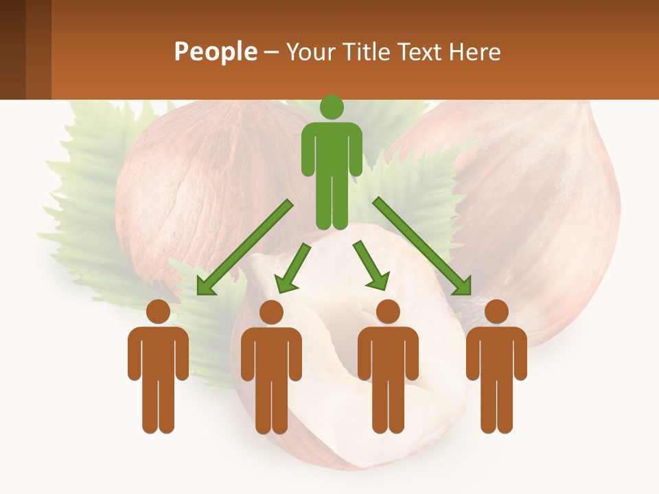 A Group Of Nuts With Leaves On A White Background PowerPoint Template