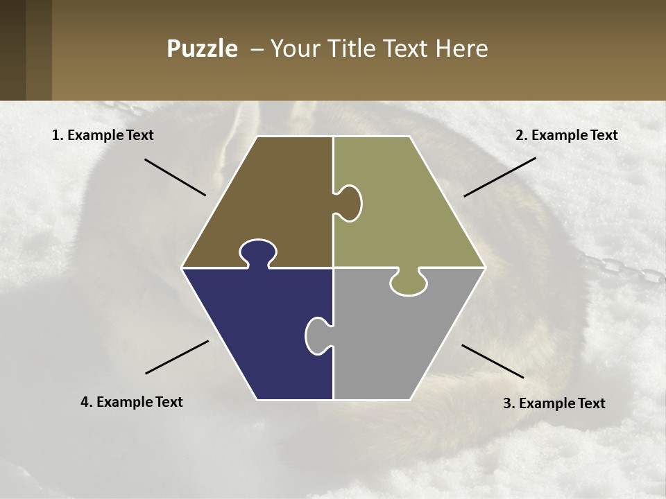 A Husky Dog Laying In The Snow Powerpoint Template PowerPoint Template