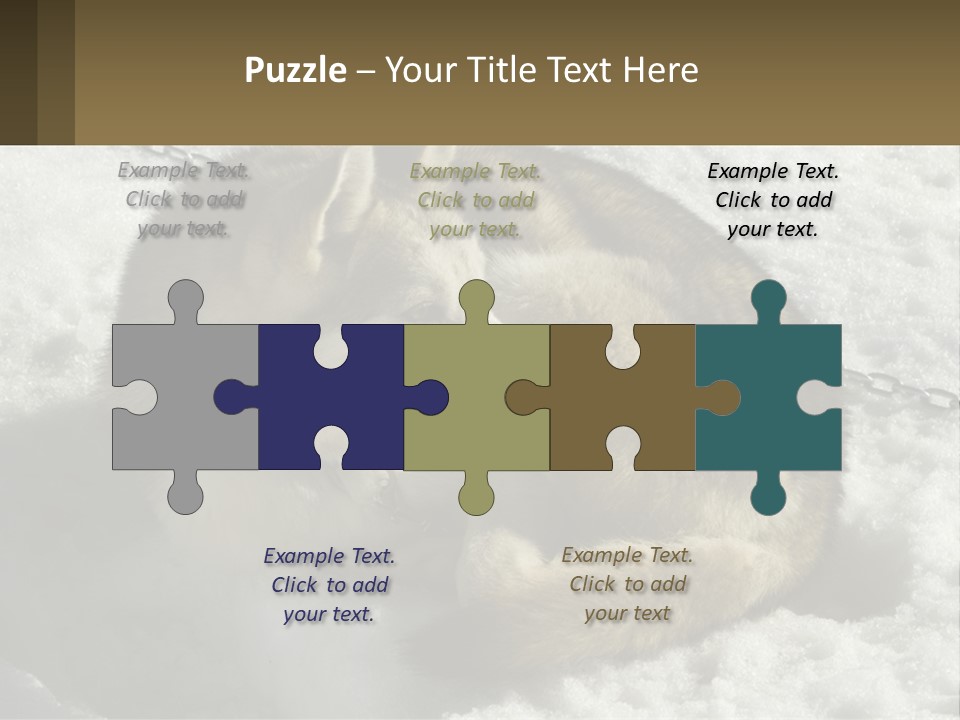 A Husky Dog Laying In The Snow Powerpoint Template PowerPoint Template