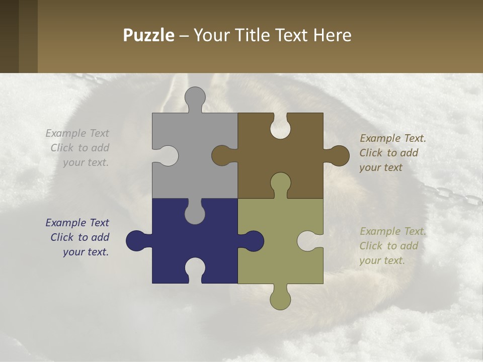 A Husky Dog Laying In The Snow Powerpoint Template PowerPoint Template