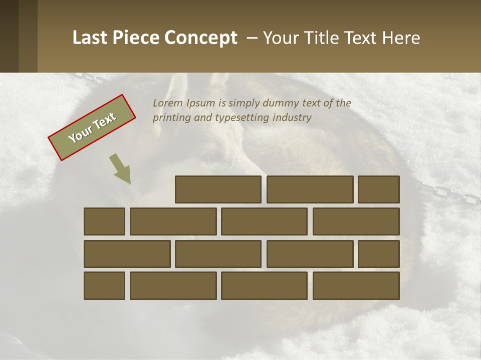 A Husky Dog Laying In The Snow Powerpoint Template PowerPoint Template