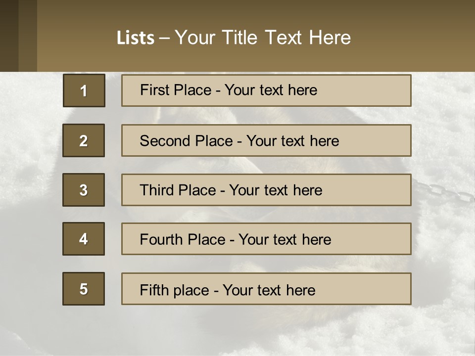 A Husky Dog Laying In The Snow Powerpoint Template PowerPoint Template