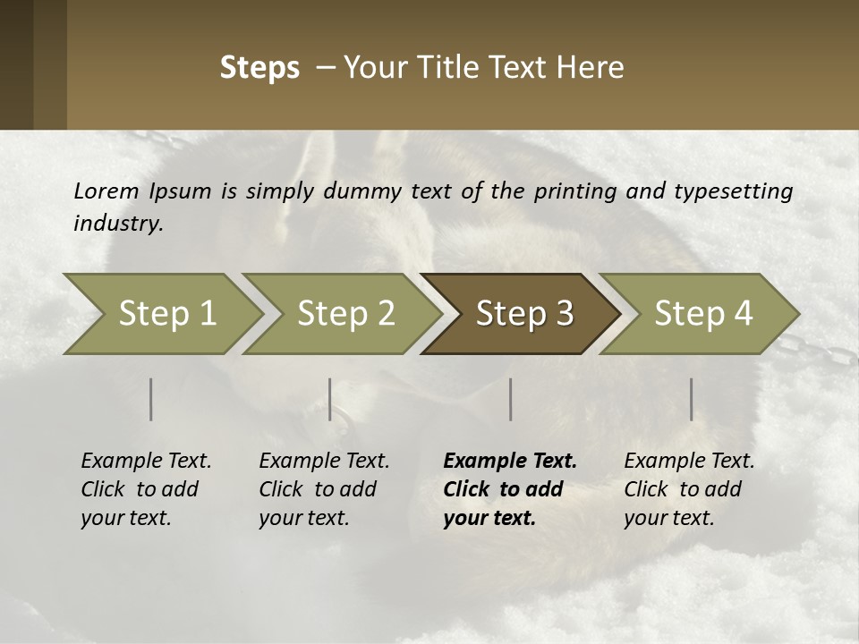 A Husky Dog Laying In The Snow Powerpoint Template PowerPoint Template