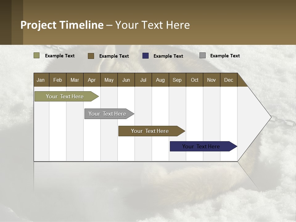 A Husky Dog Laying In The Snow Powerpoint Template PowerPoint Template