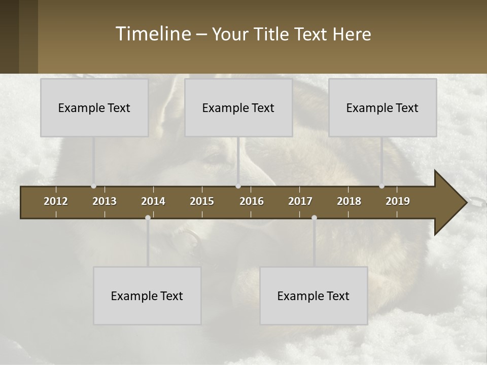 A Husky Dog Laying In The Snow Powerpoint Template PowerPoint Template