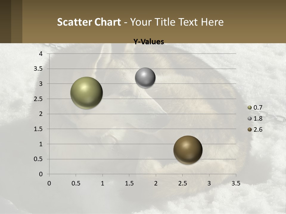 A Husky Dog Laying In The Snow Powerpoint Template PowerPoint Template