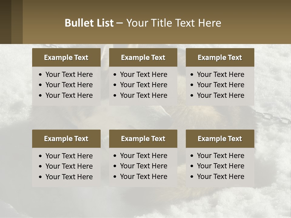 A Husky Dog Laying In The Snow Powerpoint Template PowerPoint Template