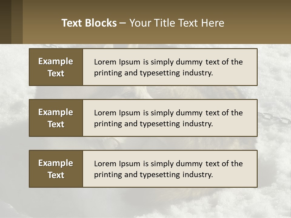 A Husky Dog Laying In The Snow Powerpoint Template PowerPoint Template