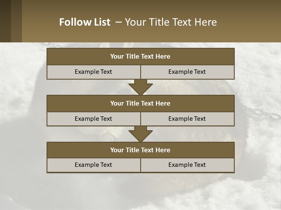 A Husky Dog Laying In The Snow Powerpoint Template PowerPoint Template