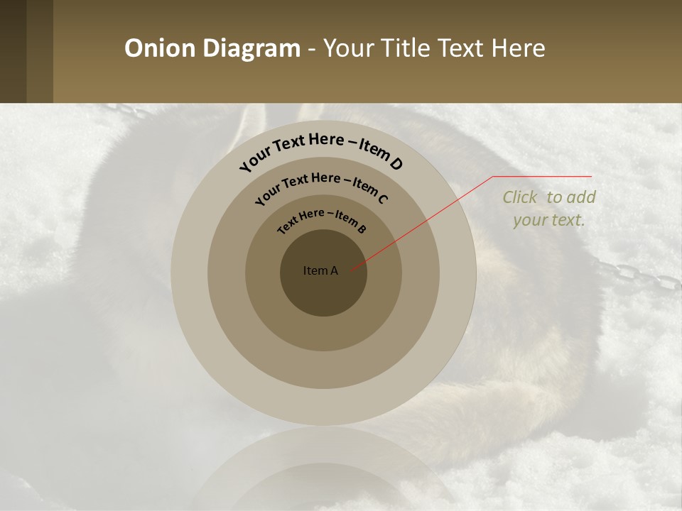 A Husky Dog Laying In The Snow Powerpoint Template PowerPoint Template