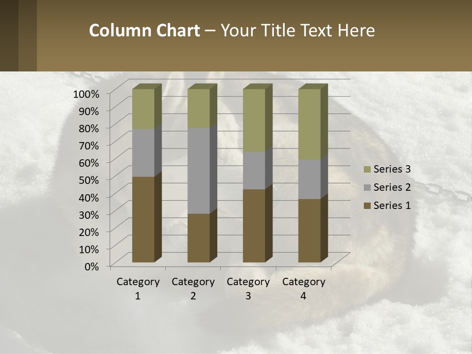 A Husky Dog Laying In The Snow Powerpoint Template PowerPoint Template