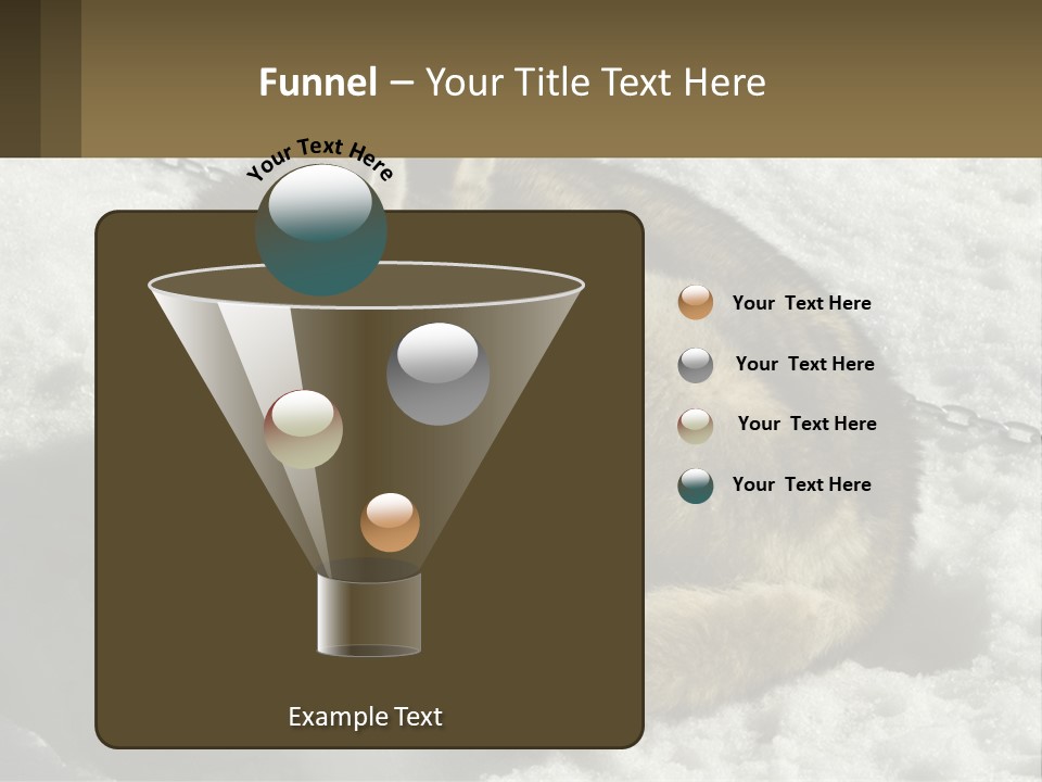 A Husky Dog Laying In The Snow Powerpoint Template PowerPoint Template