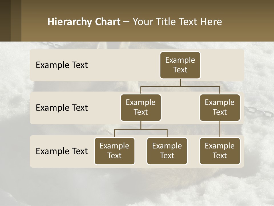A Husky Dog Laying In The Snow Powerpoint Template PowerPoint Template