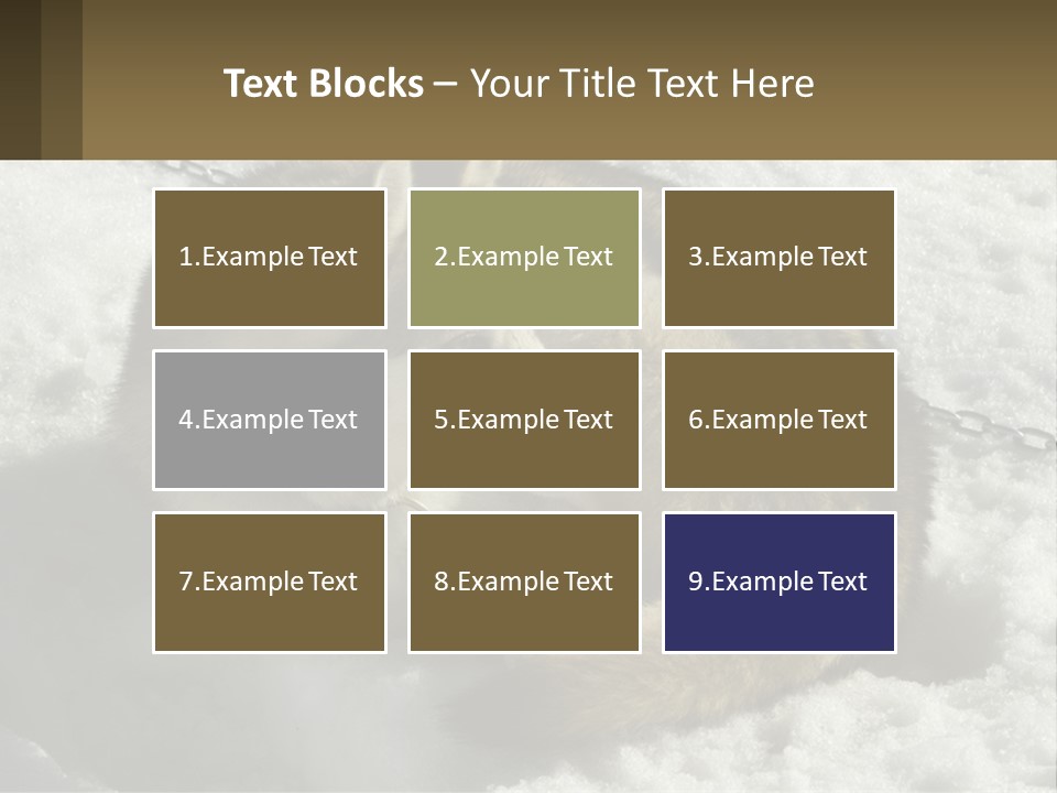 A Husky Dog Laying In The Snow Powerpoint Template PowerPoint Template