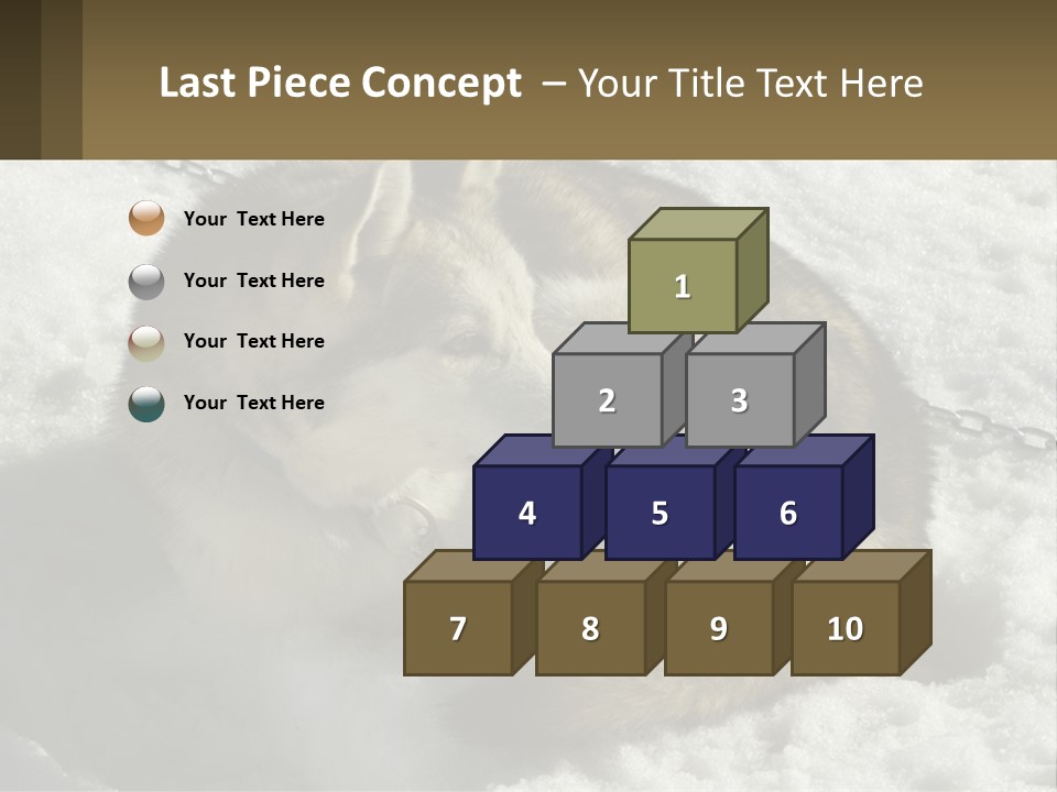 A Husky Dog Laying In The Snow Powerpoint Template PowerPoint Template