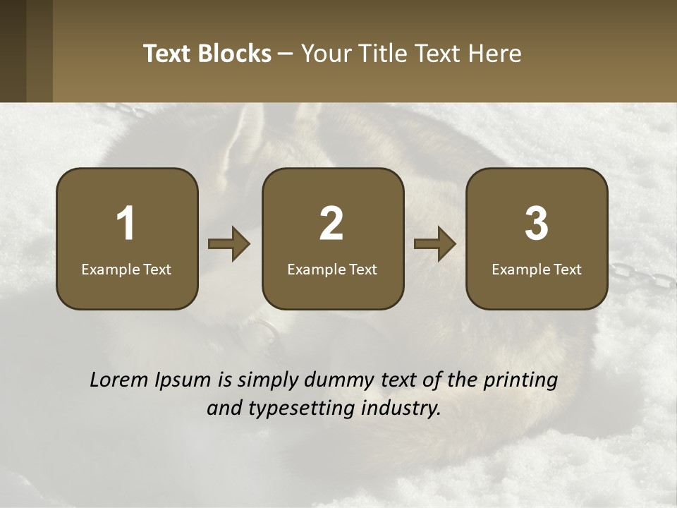 A Husky Dog Laying In The Snow Powerpoint Template PowerPoint Template