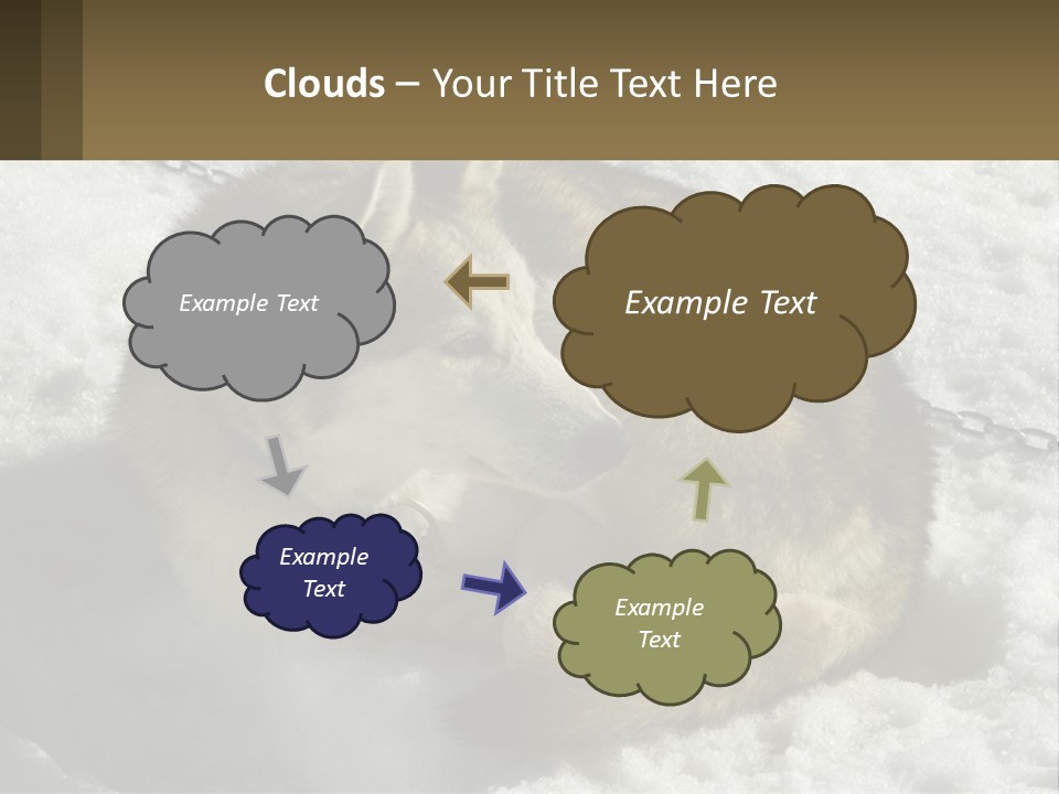 A Husky Dog Laying In The Snow Powerpoint Template PowerPoint Template