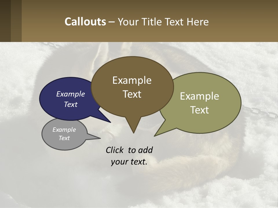 A Husky Dog Laying In The Snow Powerpoint Template PowerPoint Template