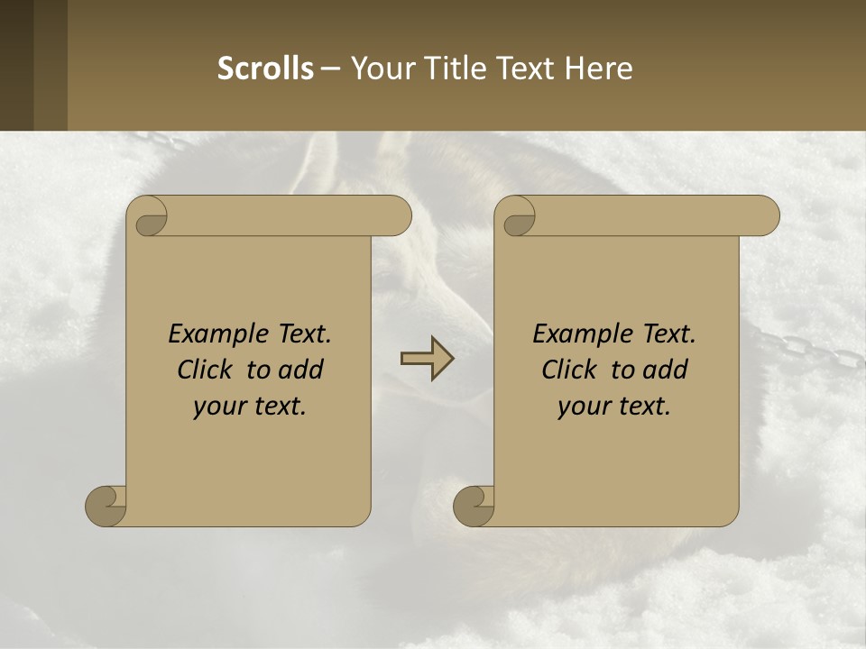 A Husky Dog Laying In The Snow Powerpoint Template PowerPoint Template