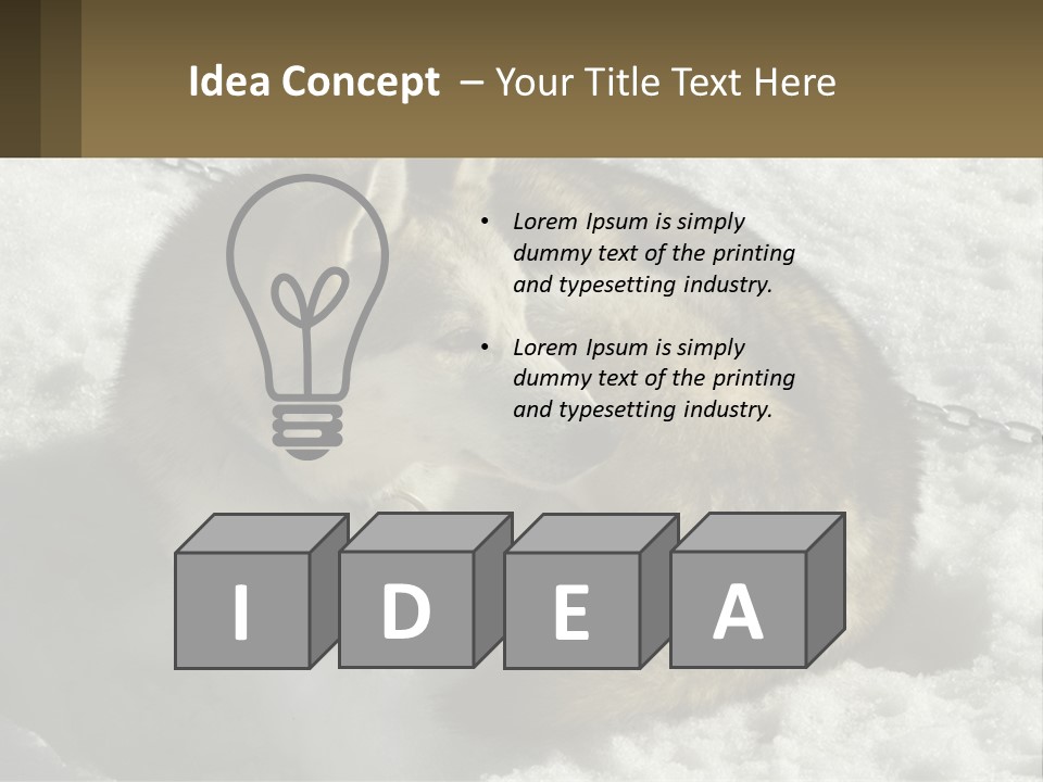 A Husky Dog Laying In The Snow Powerpoint Template PowerPoint Template