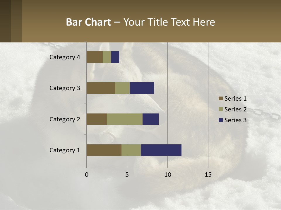 A Husky Dog Laying In The Snow Powerpoint Template PowerPoint Template