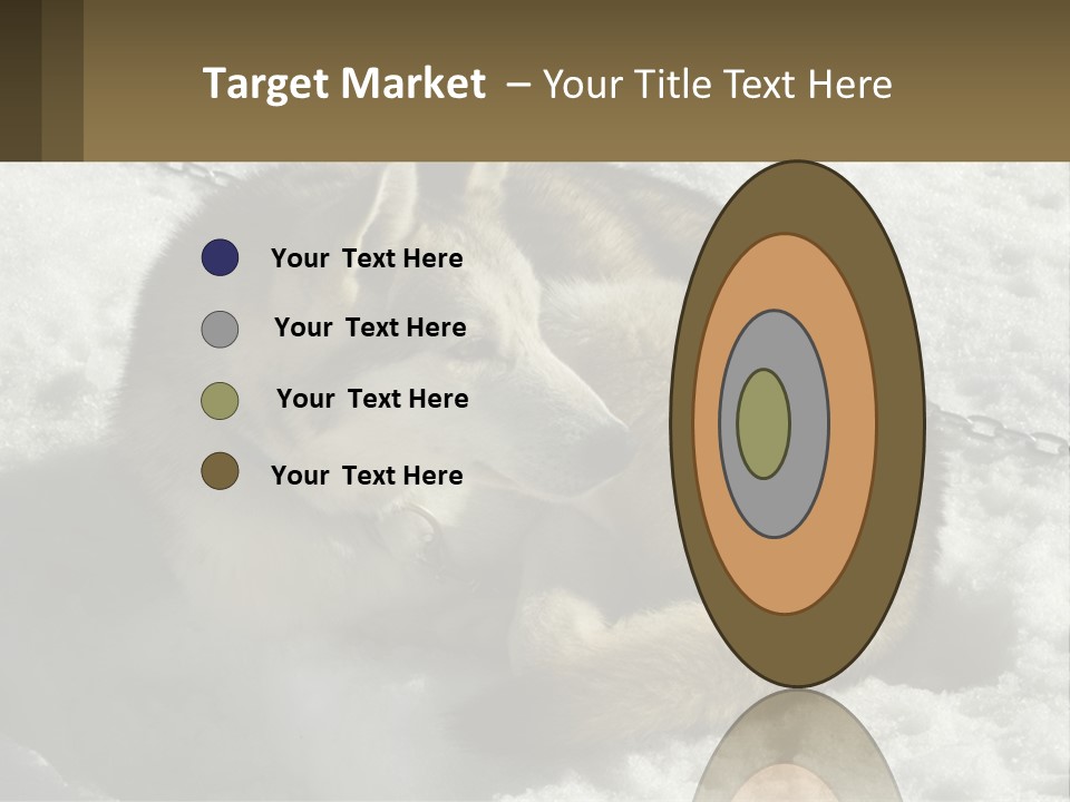 A Husky Dog Laying In The Snow Powerpoint Template PowerPoint Template