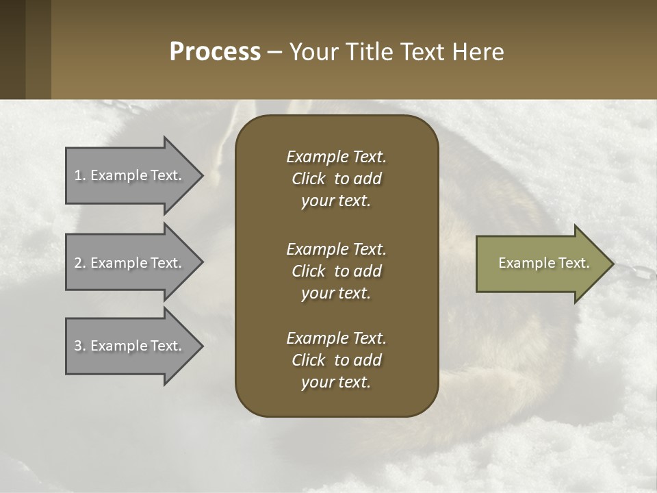 A Husky Dog Laying In The Snow Powerpoint Template PowerPoint Template