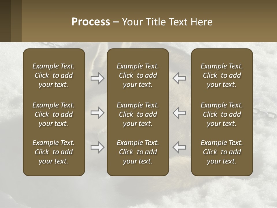 A Husky Dog Laying In The Snow Powerpoint Template PowerPoint Template