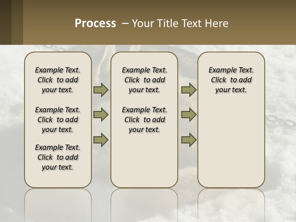 A Husky Dog Laying In The Snow Powerpoint Template PowerPoint Template