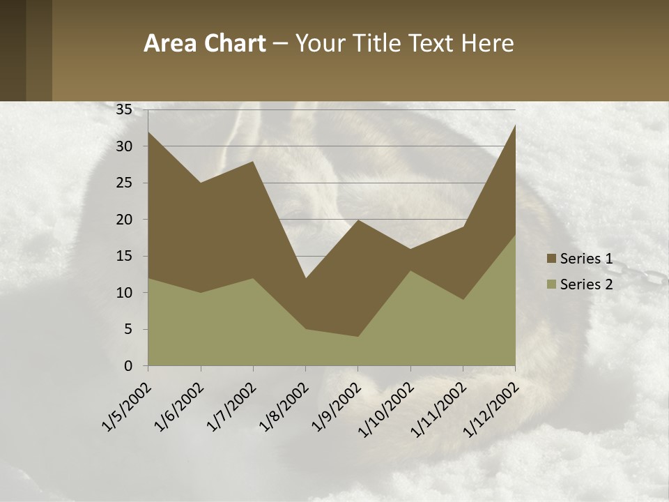 A Husky Dog Laying In The Snow Powerpoint Template PowerPoint Template
